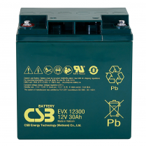 EVX12300   AGM Battery 12V 30Ah