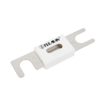 CIP143300020   Fuse ANL 300A 80V (Pack of 5)