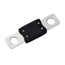 CIP136060010   MEGA-fuse 60A/32V (pack of 5)