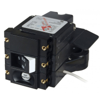 BS3102100   Disjoncteur principal ELCI s&eacute;rie A - Bipolaire 120V CA 30A