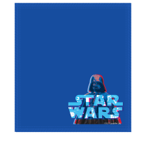 KR DARTH VADER STAR WARS LOGO CLEANING SHAMMY