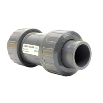 Cone Check, Spring Loaded, PVC/EPDM, 1/2"