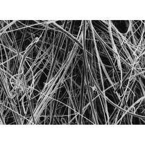 Filter Paper, 1.2 Micron, 25mm