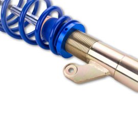 ap Coilover Suspension for BMW (E89) Z4 Roadster