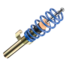 ap Coilover Suspension for VW (AW) Polo VI / SEAT (KJ1) Ibiza Mk V