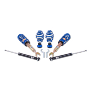 ap Coilover Suspension Galvanized Steel for Audi (4B) A6 & Skoda (3U4) Superb I