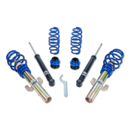 ap Coilover Suspension for VAG (6L/6Y/9N) Polo/Ibiza/Fabia/Cordoba