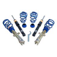 ap Coilover Suspension for Renault (BR0/1, CR0/1) Clio III