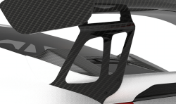 1016 Industries Porsche 991.2 GT2 RS Wing Legs (Twill Carbon)