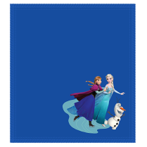 KR FROZEN CLEANING SHAMMY