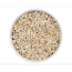 IDENTITY Dog BELIEVE Gently Cooked Chicken & Rice 8/14oz