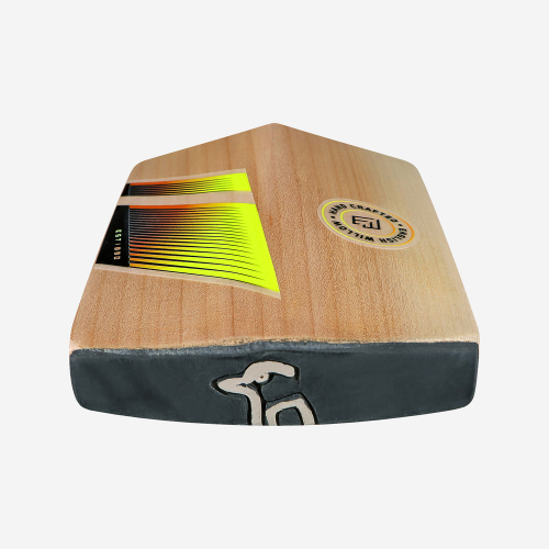 Pro 6.0 Beast Junior Cricket Bat