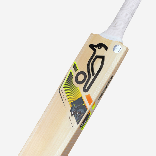 Pro 6.0 Beast Junior Cricket Bat