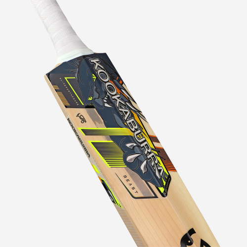 Pro 6.0 Beast Junior Cricket Bat