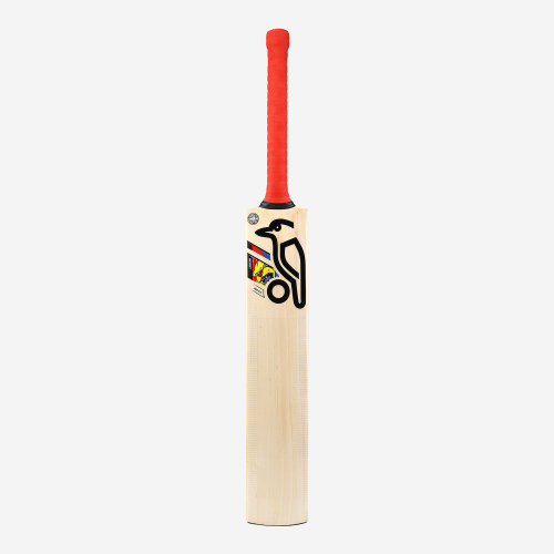 BEAST PRO 6.0 JUNIOR CRICKET BAT