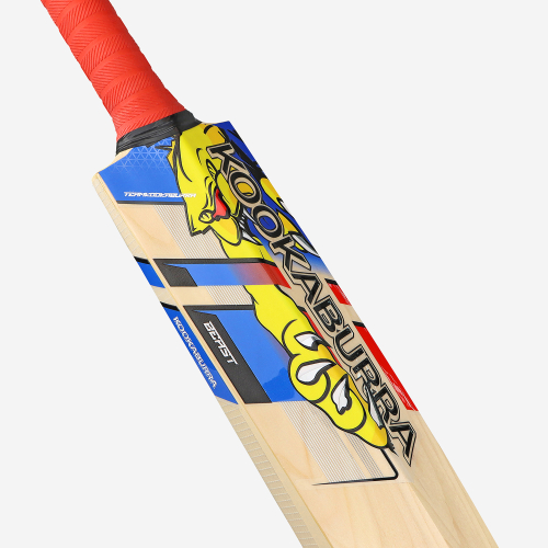 BEAST PRO 6.0 JUNIOR CRICKET BAT