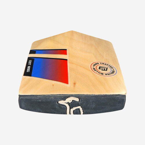 BEAST PRO 6.0 JUNIOR CRICKET BAT