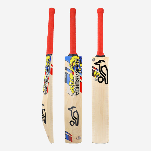 BEAST PRO 6.0 JUNIOR CRICKET BAT