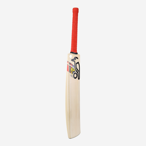BEAST PRO 6.0 JUNIOR CRICKET BAT