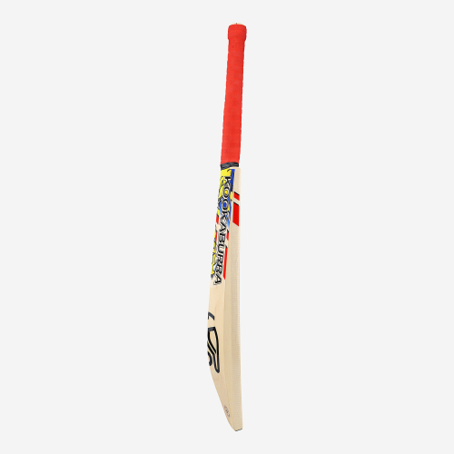 BEAST PRO 6.0 JUNIOR CRICKET BAT