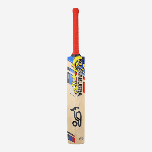 BEAST PRO 6.0 JUNIOR CRICKET BAT