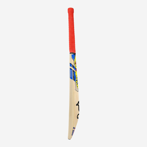 BEAST PRO 6.0 JUNIOR CRICKET BAT