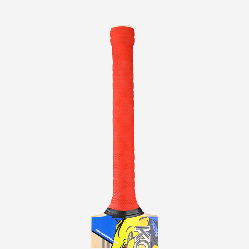 BEAST PRO 6.0 JUNIOR CRICKET BAT