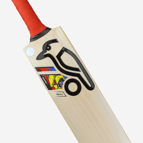 BEAST PRO 6.0 JUNIOR CRICKET BAT