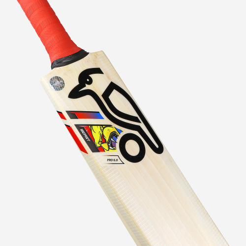 BEAST PRO 6.0 JUNIOR CRICKET BAT