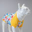 LINDODOGS Art Tshirt Size 7