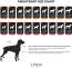 LINDODOGS Sydney Sweatshirt Size 5