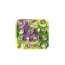 TALL TAILS Mat Silicone - Succulent