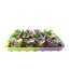 TALL TAILS Mat Silicone - Succulent