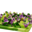 TALL TAILS Mat Silicone - Succulent