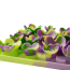 TALL TAILS Mat Silicone - Succulent