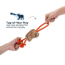 TALL TAILS Toy Leather - NATURAL Tug Color Chipmunk 12"