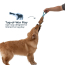 TALL TAILS Toy Leather - NATURAL Tug Color Jointed Trout 16"