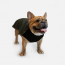 WOOF Concept Lab IX Cognito Illuminous Reflective Jacket 20