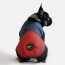 WOOF Concept Lab IX Arrow Navy Blue and Red Windbreaker 30