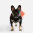 WOOF Concept Lab IX Wintertide Jacket Blood Orange 26