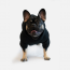 WOOF Concept Lab IX Casual Haze Black Hoodie 12