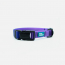 WOOF Concept Collar AQUA Empress Medium