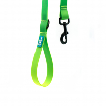 WOOF Concept Leash AQUA Lime Margarita Large