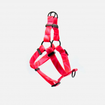 WOOF Concept Harness AQUA Cosmopolitan Extra Large