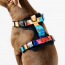 WOOF Concept Max Control Mesh Harness Polygon XLarge