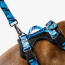 WOOF Concept Max Control Mesh Harness Apex XLarge