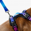 WOOF Concept Max Control Mesh Harness Mystic Large
