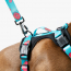 WOOF Concept Max Control Mesh Harness Five-O Medium