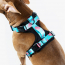 WOOF Concept Max Control Mesh Harness Five-O Medium