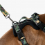 WOOF Concept Max Control Mesh Harness Woodland Small